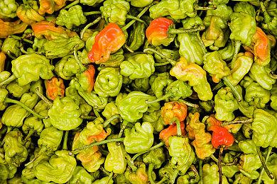 《寂静岭2：重制版》欧洲地区 PS5销量是PC三倍多